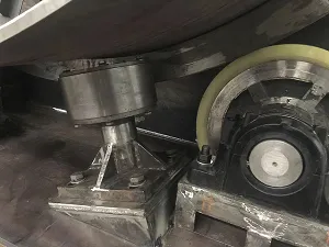 Carcaterísticas
